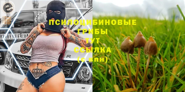 mdpv Новозыбков