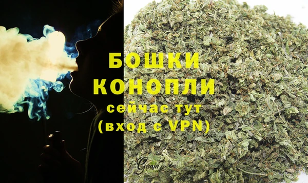 стаф Новодвинск