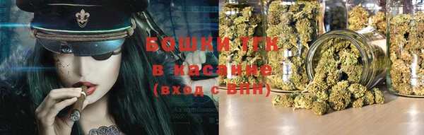 стаф Новодвинск