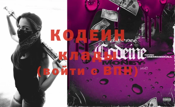 стаф Новодвинск