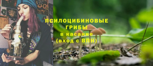 mdpv Новозыбков